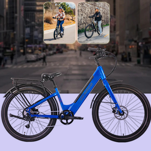 Denago eBikes 